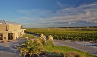 Vinos en lo alto