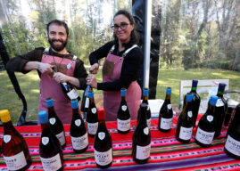 Salta y Bariloche unidas por el vino