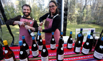 Salta y Bariloche unidas por el vino