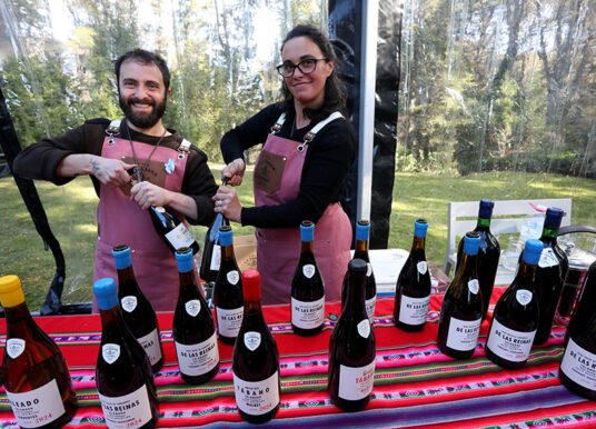 Salta y Bariloche unidas por el vino